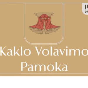 Volavimo pamoka kaklui ONLINE