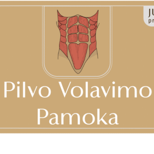 Volavimo pamoka pilvui ONLINE