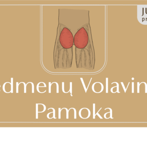 Volavimo pamoka sėdmenims ONLINE