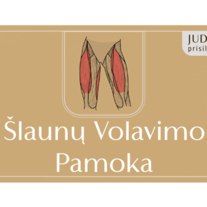 Volavimo pamoka šlaunims ONLINE